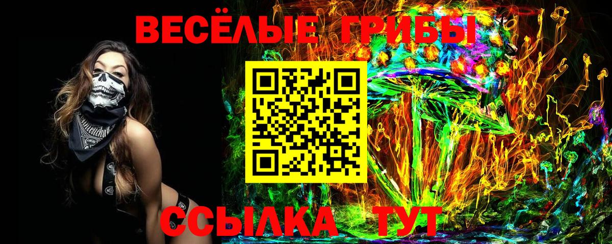 Галлюциногенные грибы Magic Shrooms  цены   Вход с VPN  Новокуйбышевск  Галлюциногенные грибы MAGIC MUSHROOMS 