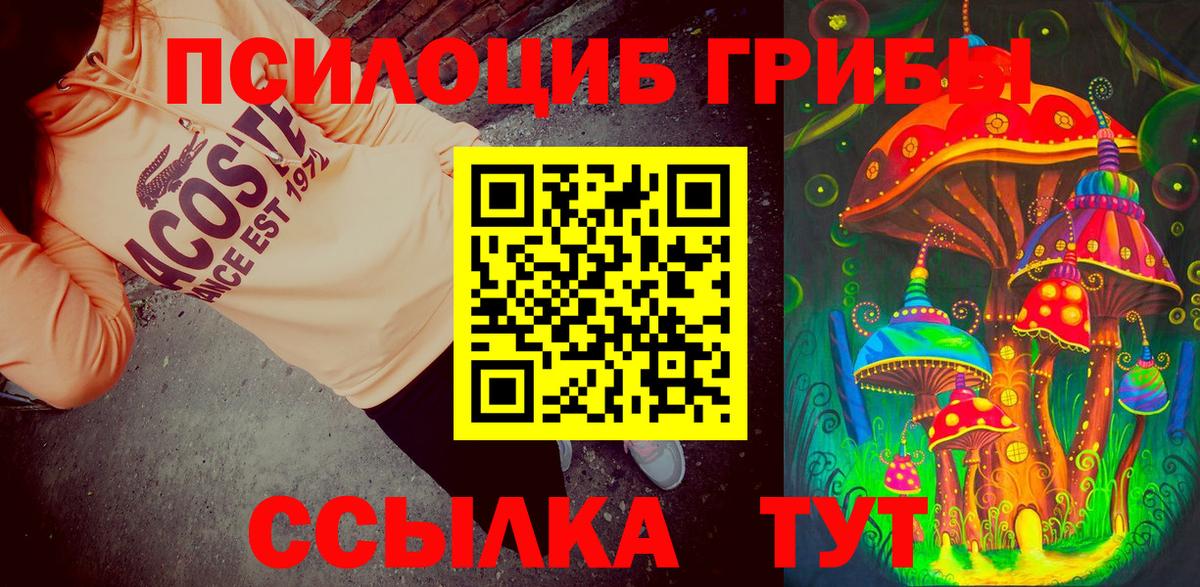 Псилоцибиновые грибы мицелий Новокуйбышевск